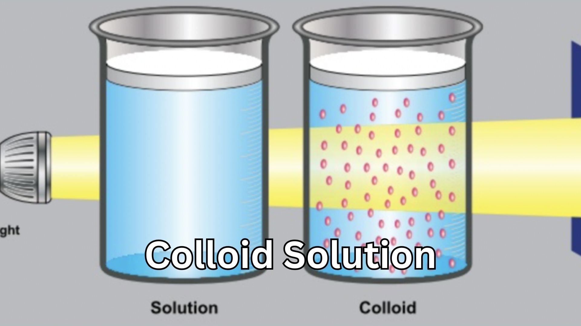 Colloid Solution: The Powerful and Positive Science Behind Everyday Mixtures