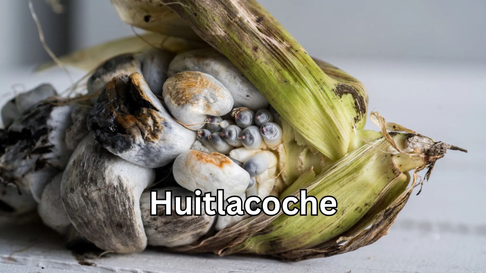 Huitlacoche: The Powerful and Delicious Secret of Mexican Cuisine