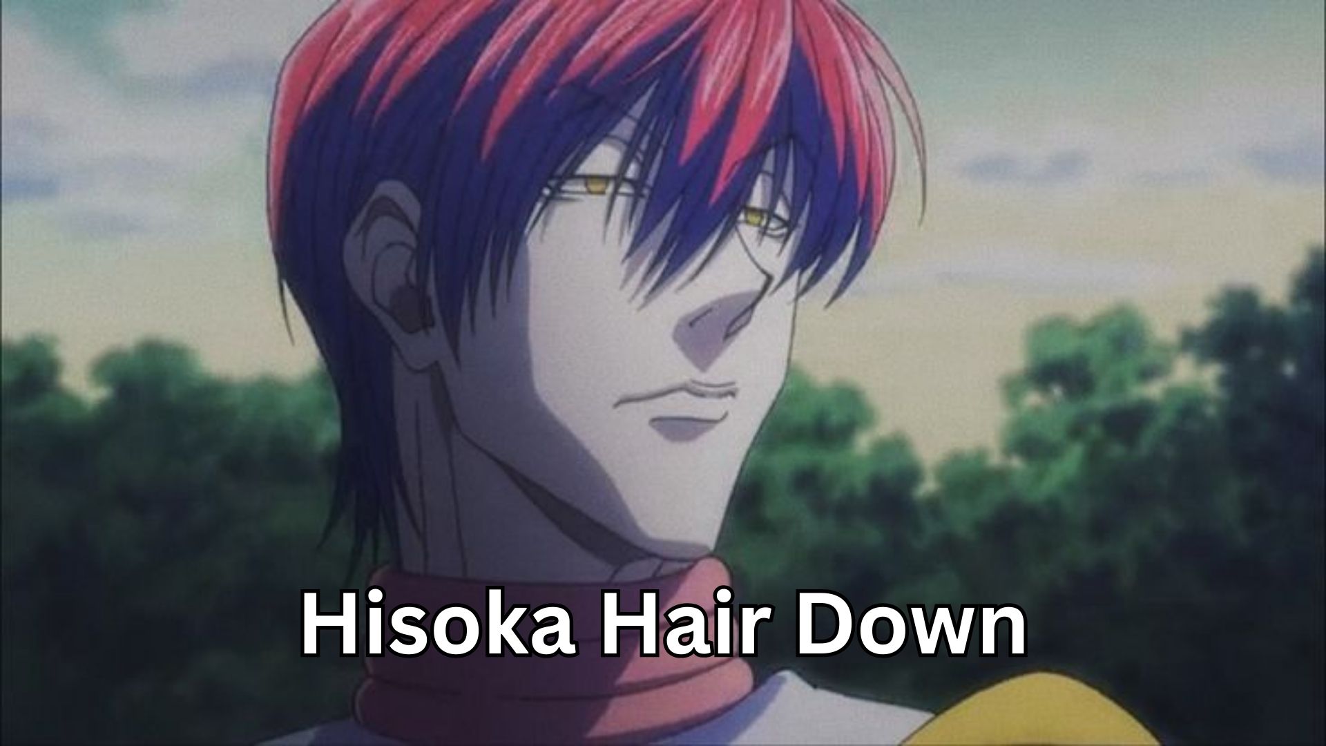 Hisoka Hair Down: The Stunning Look That Captivates Fans